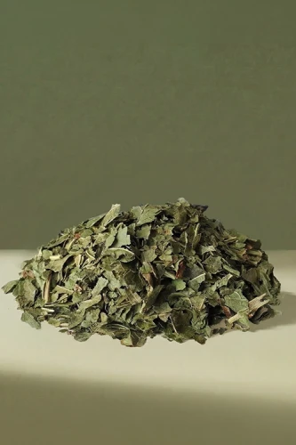 suszone liście porzeczki zuzala 2.webp