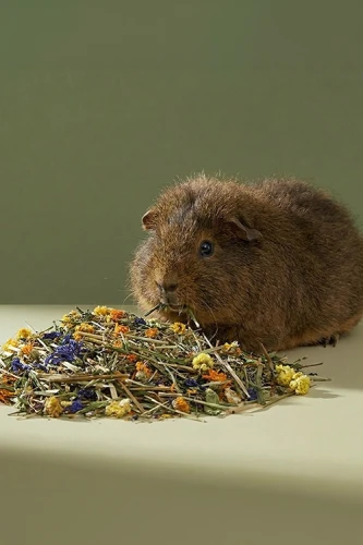 mieszanka ziołowa z kwiatami 3.webp