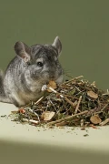 Mieszanka ziołowa z warzywami dla królików i gryzoni 50 g Zuzala 3.webp