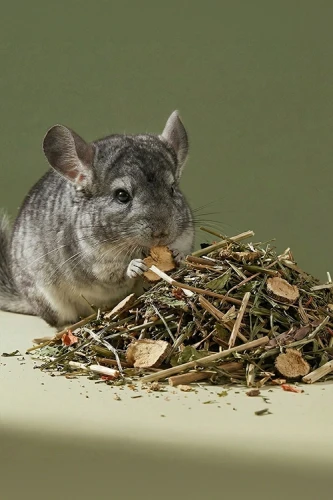 Mieszanka ziołowa z warzywami dla królików i gryzoni 50 g Zuzala 3.webp
