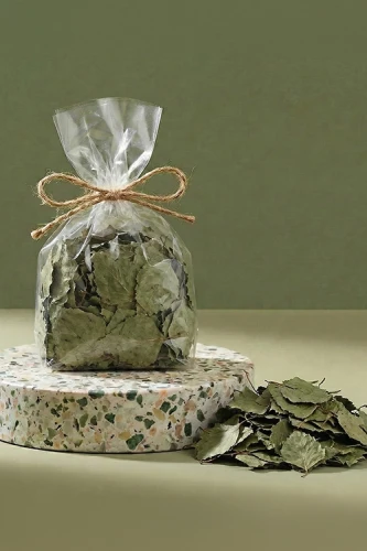 liście brzozy 2.webp