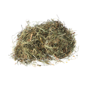 sianko rumiankowe dla królika wysoka jakość.png