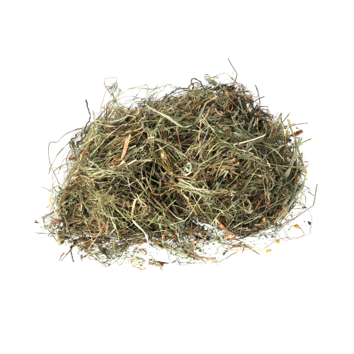 sianko rumiankowe dla królika wysoka jakość.png