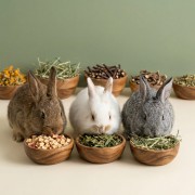 ziołowy bar dla królika zooherbs.jpeg