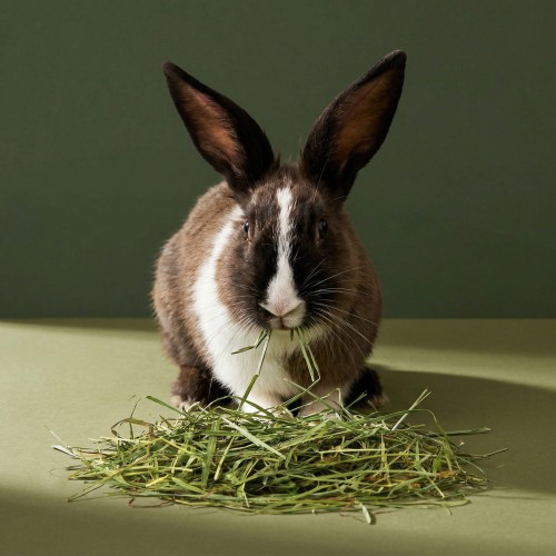 Sianko tymotkowe dla królika 500g zooherbs