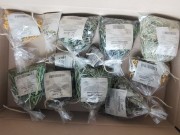 Ziołowy Bar dla Szynszyli.jpg