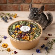 Pełna micha Tymotka i zioła zooherbs szynszyla.jpg