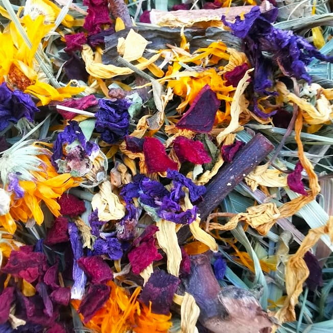 Pełna micha Tymotka i zioła.jpg