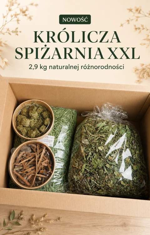 krolicza_spiżarnia_XXL.png